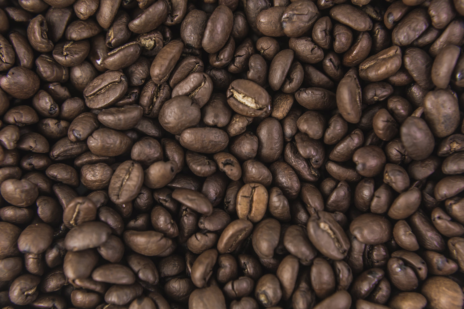 Coffee Beans